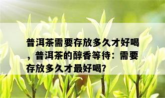 普洱茶需要存放多久才好喝，普洱茶的醇香等待：需要存放多久才更好喝？