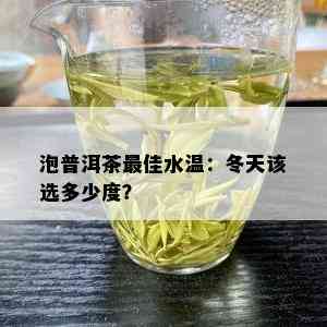 泡普洱茶更佳水温：冬天该选多少度？