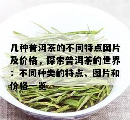 几种普洱茶的不同特点图片及价格，探索普洱茶的世界：不同种类的特点、图片和价格一览