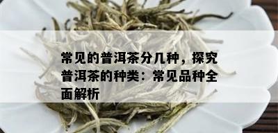 常见的普洱茶分几种，探究普洱茶的种类：常见品种全面解析