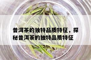 普洱茶的独特品质特征，探秘普洱茶的独特品质特征