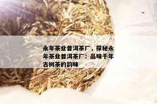 永年茶业普洱茶厂，探秘永年茶业普洱茶厂：品味千年古树茶的韵味