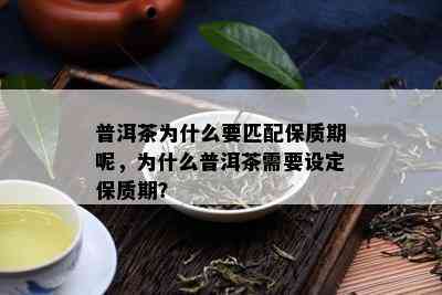 普洱茶为什么要匹配保质期呢，为什么普洱茶需要设定保质期？