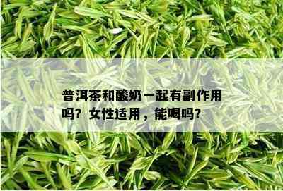 普洱茶和酸奶一起有副作用吗？女性适用，能喝吗？