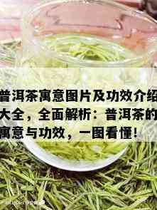 普洱茶寓意图片及功效介绍大全，全面解析：普洱茶的寓意与功效，一图看懂！