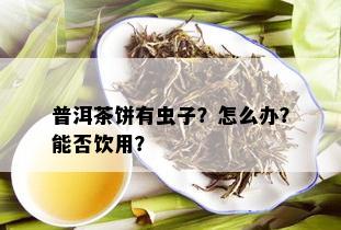 普洱茶饼有虫子？怎么办？能否饮用？