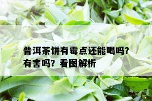 普洱茶饼有霉点还能喝吗？有害吗？看图解析