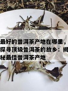 更好的普洱茶产地在哪里，探寻顶级普洱茶的故乡：揭秘更佳普洱茶产地