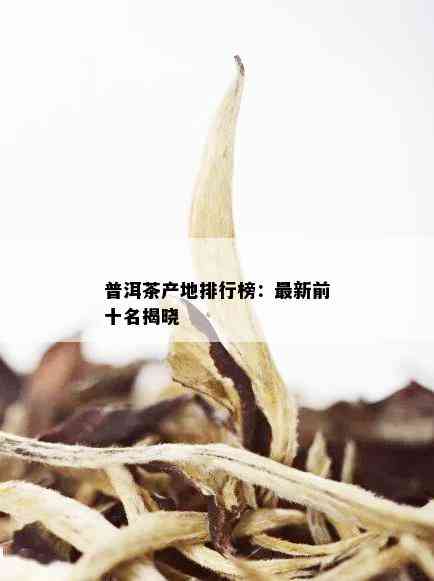 普洱茶产地排行榜：最新前十名揭晓