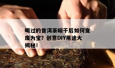 喝过的普洱茶晾干后如何变废为宝？创意DIY用途大揭秘！