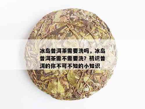 冰岛普洱茶需要洗吗，冰岛普洱茶需不需要洗？初识普洱的你不可不知的小知识