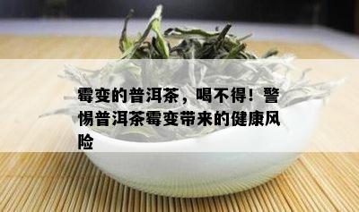 霉变的普洱茶，喝不得！警惕普洱茶霉变带来的健康风险