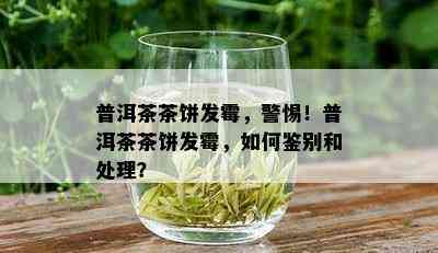 普洱茶茶饼发霉，警惕！普洱茶茶饼发霉，如何鉴别和处理？