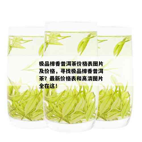 极品樟香普洱茶价格表图片及价格，寻找极品樟香普洱茶？最新价格表和高清图片全在这！