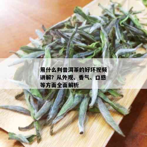 用什么判普洱茶的好坏视频讲解？从外观、香气、口感等方面全面解析