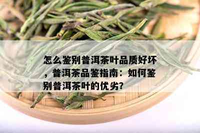 怎么鉴别普洱茶叶品质好坏，普洱茶品鉴指南：如何鉴别普洱茶叶的优劣？