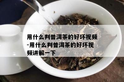 用什么判普洱茶的好坏视频-用什么判普洱茶的好坏视频讲解一下