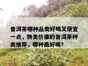 普洱茶哪种品类好喝又便宜一点，物美价廉的普洱茶种类推荐，哪种更好喝？