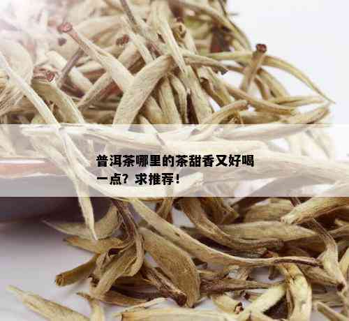 普洱茶哪里的茶甜香又好喝一点？求推荐！