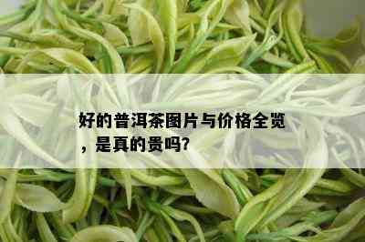 好的普洱茶图片与价格全览，是真的贵吗？