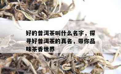 好的普洱茶叫什么名字，探寻好普洱茶的真名，带你品味茶香世界