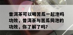 普洱茶可以喝苦瓜一起泡吗功效，普洱茶与苦瓜同泡的功效，你了解了吗？