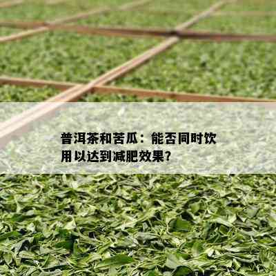 普洱茶和苦瓜：能否同时饮用以达到减肥效果？