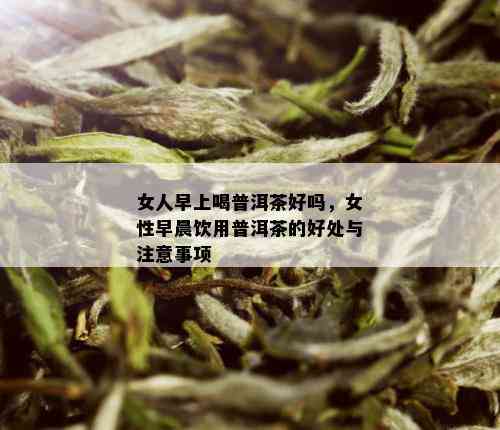 女人早上喝普洱茶好吗，女性早晨饮用普洱茶的好处与注意事项