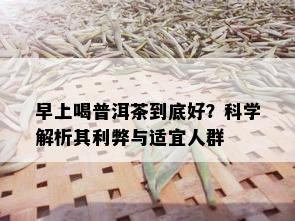 早上喝普洱茶到底好？科学解析其利弊与适宜人群