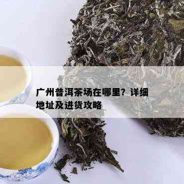 广州普洱茶场在哪里？详细地址及进货攻略