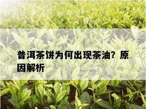 普洱茶饼为何出现茶油？原因解析