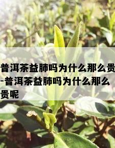 普洱茶益肺吗为什么那么贵-普洱茶益肺吗为什么那么贵呢