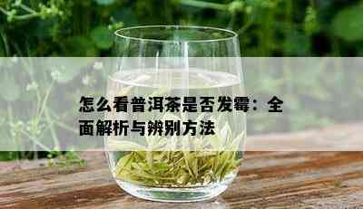 怎么看普洱茶是否发霉：全面解析与辨别方法