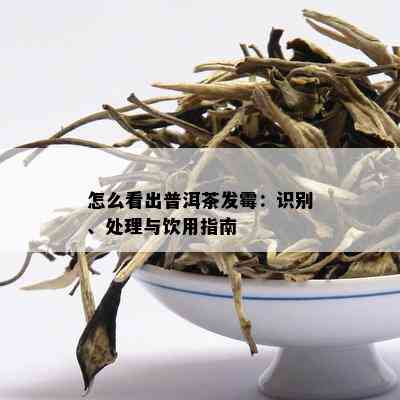 怎么看出普洱茶发霉：识别、处理与饮用指南