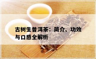 古树生普洱茶：简介、功效与口感全解析