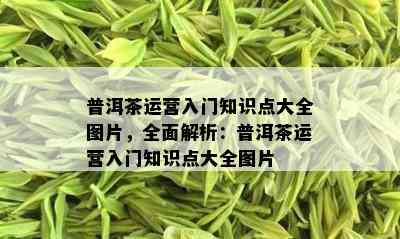 普洱茶运营入门知识点大全图片，全面解析：普洱茶运营入门知识点大全图片