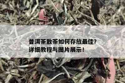 普洱茶散茶如何存放更佳？详细教程与图片展示！