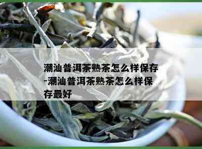 潮汕普洱茶熟茶怎么样保存-潮汕普洱茶熟茶怎么样保存更好