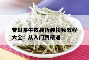 普洱茶牛皮袋折装视频教程大全：从入门到精通