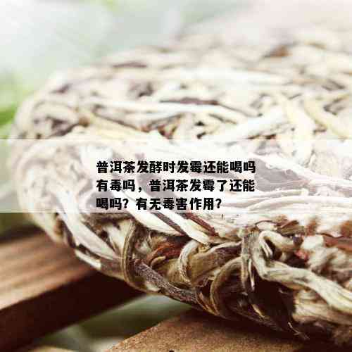 普洱茶发酵时发霉还能喝吗有吗，普洱茶发霉了还能喝吗？有无害作用？