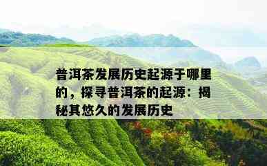 普洱茶发展历史起源于哪里的，探寻普洱茶的起源：揭秘其悠久的发展历史