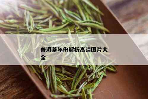 普洱茶年份解析高清图片大全