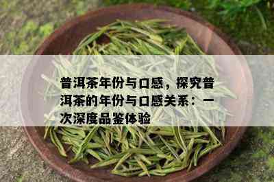 普洱茶年份与口感，探究普洱茶的年份与口感关系：一次深度品鉴体验