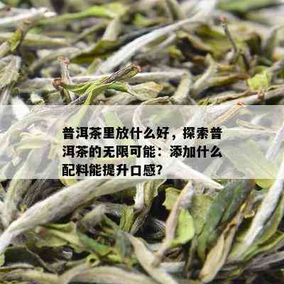 普洱茶里放什么好，探索普洱茶的无限可能：添加什么配料能提升口感？