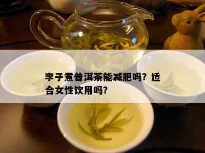 李子煮普洱茶能减肥吗？适合女性饮用吗？