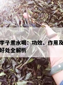 李子煮水喝：功效、作用及好处全解析