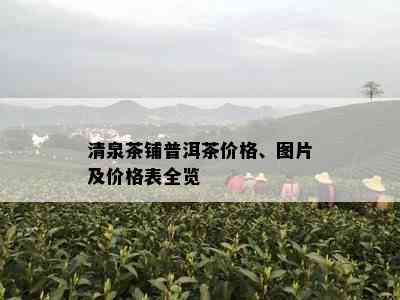 清泉茶铺普洱茶价格、图片及价格表全览