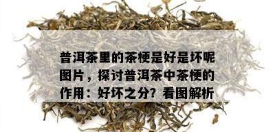 普洱茶里的茶梗是好是坏呢图片，探讨普洱茶中茶梗的作用：好坏之分？看图解析