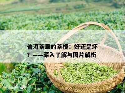 普洱茶里的茶梗：好还是坏？——深入了解与图片解析