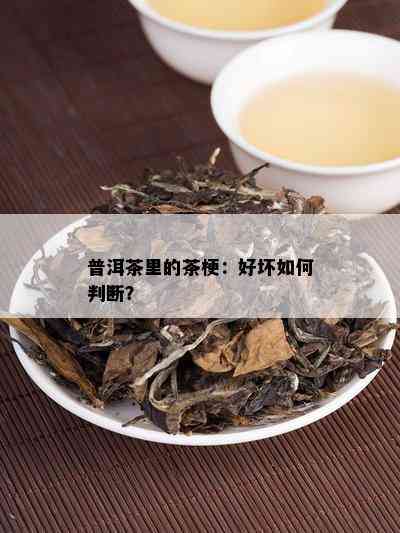 普洱茶里的茶梗：好坏如何判断？